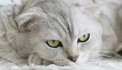 温岭24小时高价回收医保卡的最新政策(2025年温岭24小时高价回收医保卡电话分享)