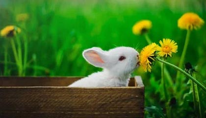 温岭高价上海医保提取2025的最新政策(2025年温岭上海医保怎么提取现金分享)